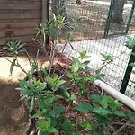 Avec Jardin, Piscine, Sauna, Proche De La Et Du Village Naturiste شقة *
